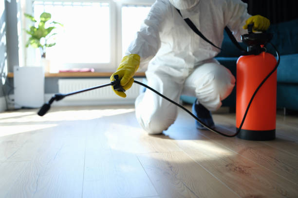 Best Pest Prevention Services  in Church Rock, NM